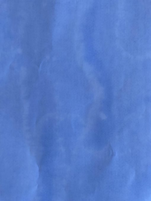 blue-caution-extra.jpg - Mrhighspray